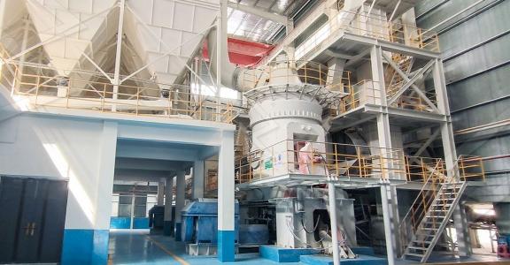 LM vertical roller mill for feed-grade mineral powder processing