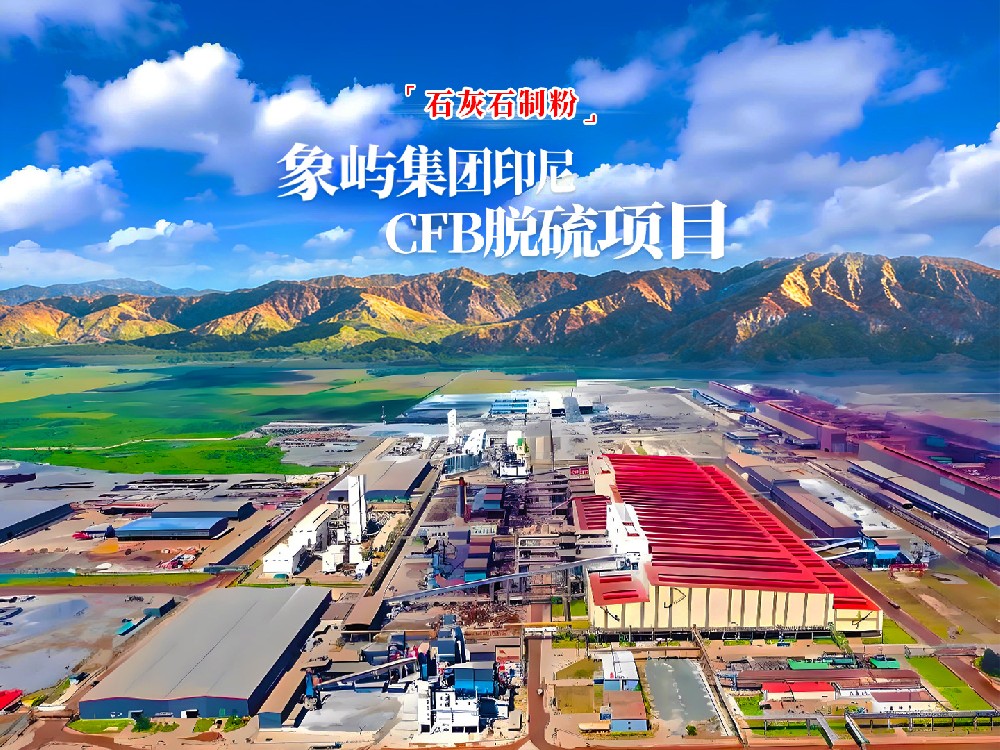 Liming Heavy Industry Powers the Successful Commissioning of Xiangyu Group's 2×380MW CFB Desulfurization Project in Indonesia